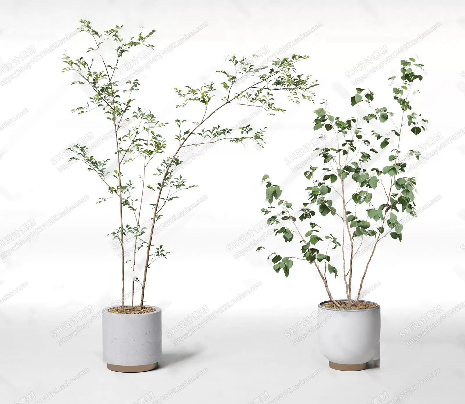 Plants and Flowers – 3Ds Models – 0396 Plants and Flowers – 3Ds Models – 0396