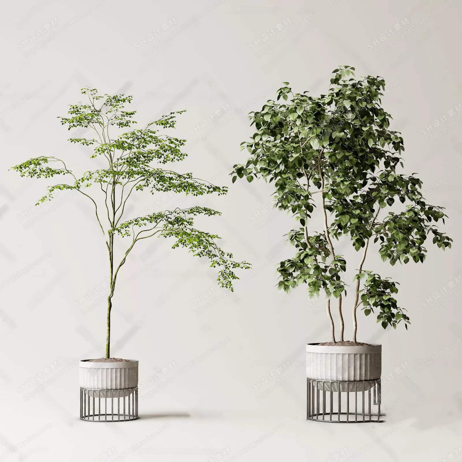 Plants and Flowers – 3Ds Models – 0398 Plants and Flowers – 3Ds Models – 0398