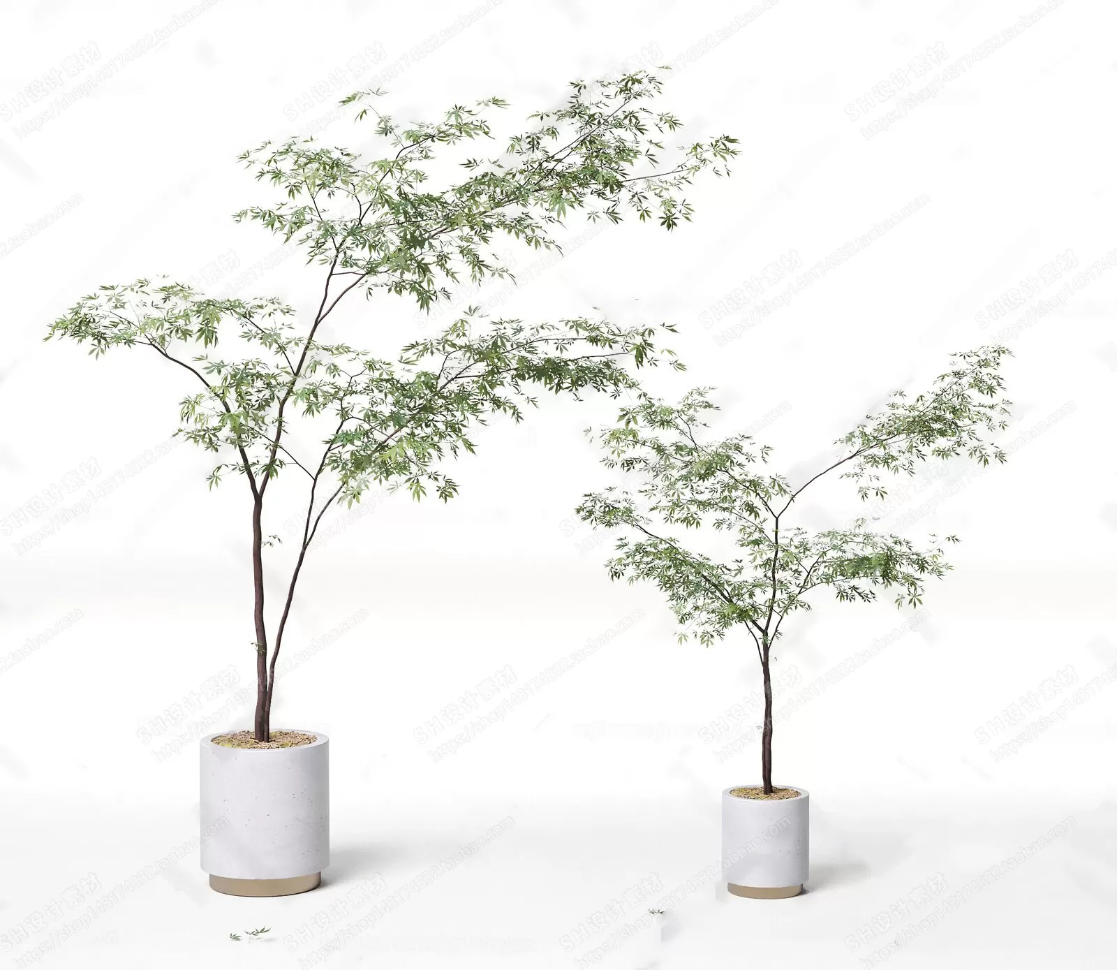 Plants and Flowers – 3Ds Models – 0400 Plants and Flowers – 3Ds Models – 0400