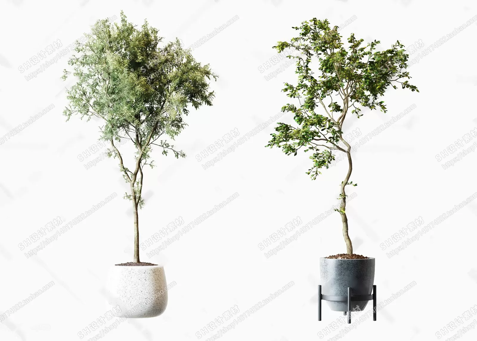 Plants and Flowers – 3Ds Models – 0405 Plants and Flowers – 3Ds Models – 0405