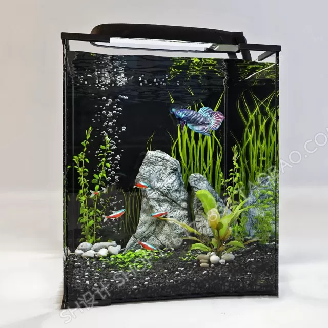 Aquarium Fish – 3Dsmax Models – 0010