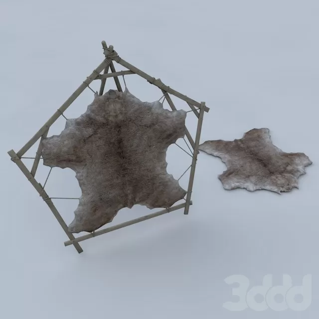 bear skin – 207547