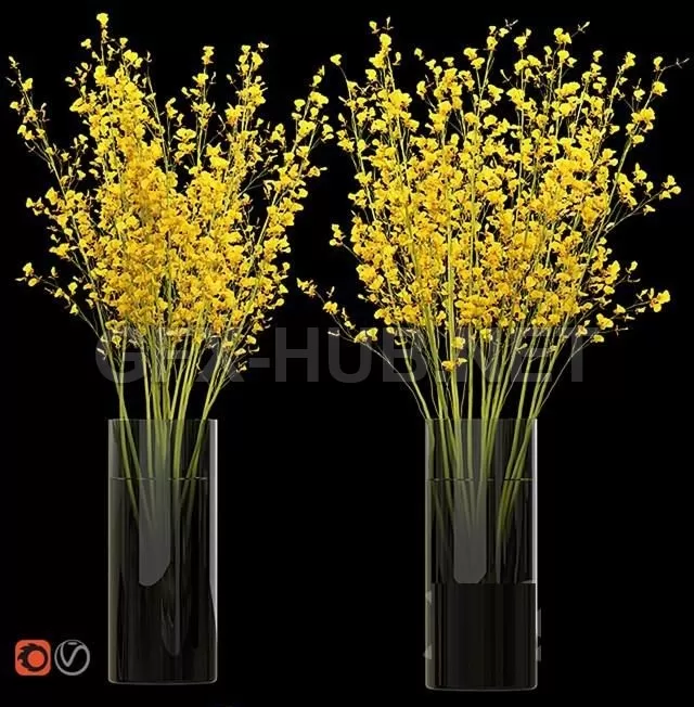 Big bouquet. Orchid oncidium in a vase – 208195