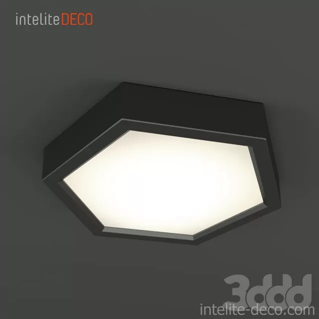 Blan Intelite Deco – 208339