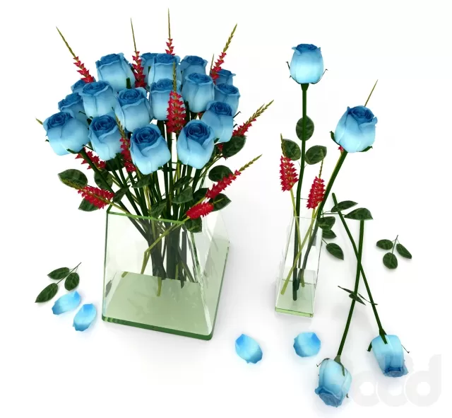 BLUE ROSE – 208425