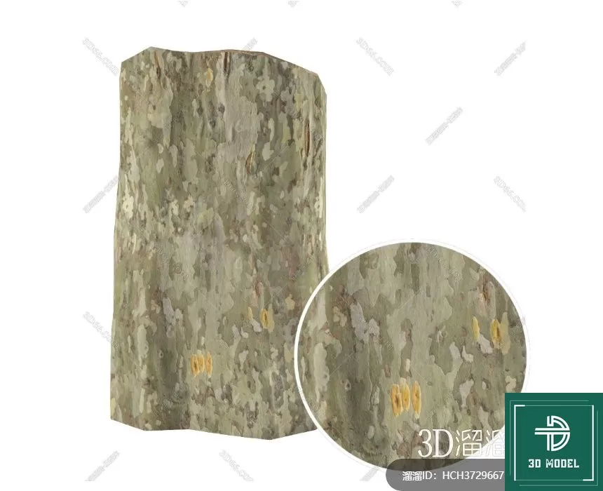 MATERIAL – TEXTURES – ORGANIC WOOD – 0009