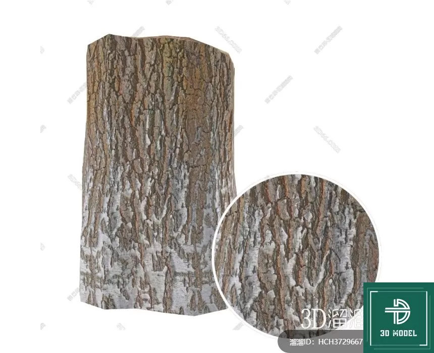 MATERIAL – TEXTURES – ORGANIC WOOD – 0010