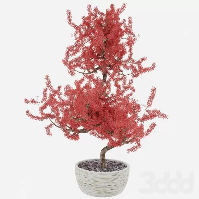 3D MODELS FREE DOWNLOAD