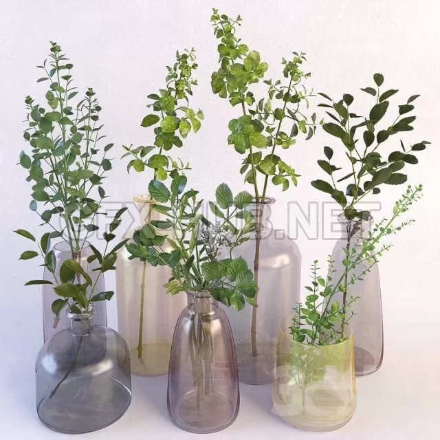 Branch Set – 208869