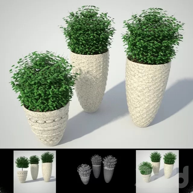 BUSHS # 1 – 209107