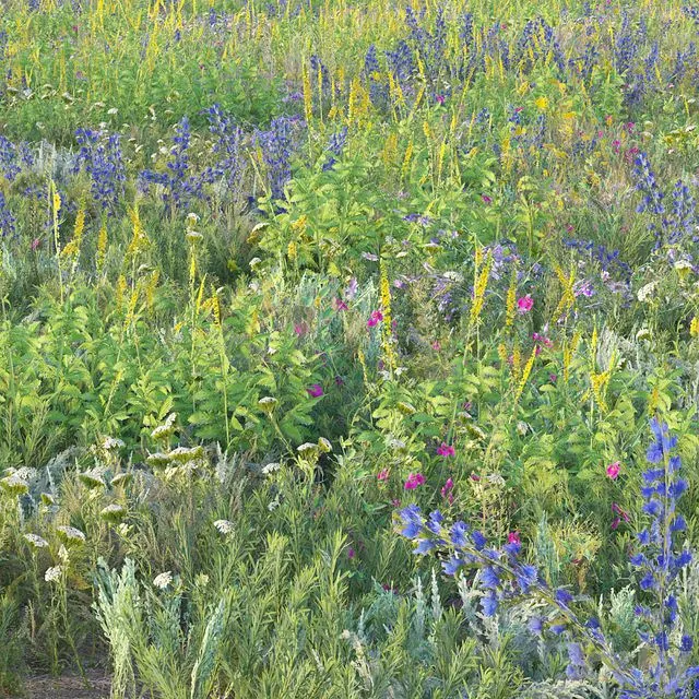 3DSky Pro 3D-Models Collection 1 August 2024