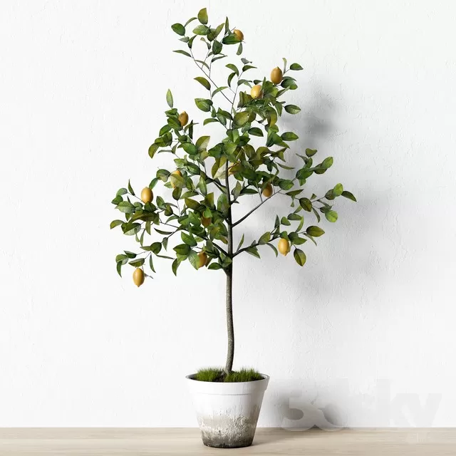 PLANT 3D MODELS – FLOWER 3D MODELS – 115