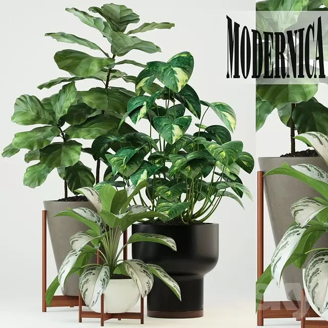 PLANT 3D MODELS – FLOWER 3D MODELS – 128