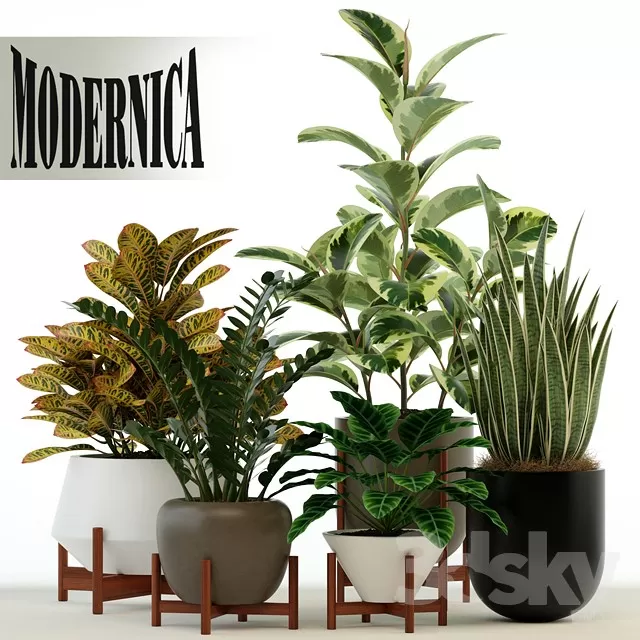 PLANT 3D MODELS – FLOWER 3D MODELS – 131