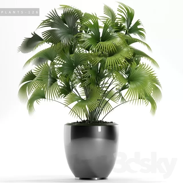 PLANT 3D MODELS – FLOWER 3D MODELS – 022