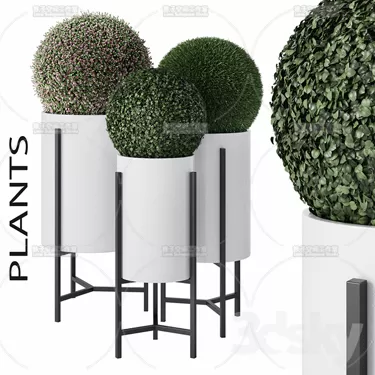 PLANT 3D MODELS – FLOWER 3D MODELS – 214