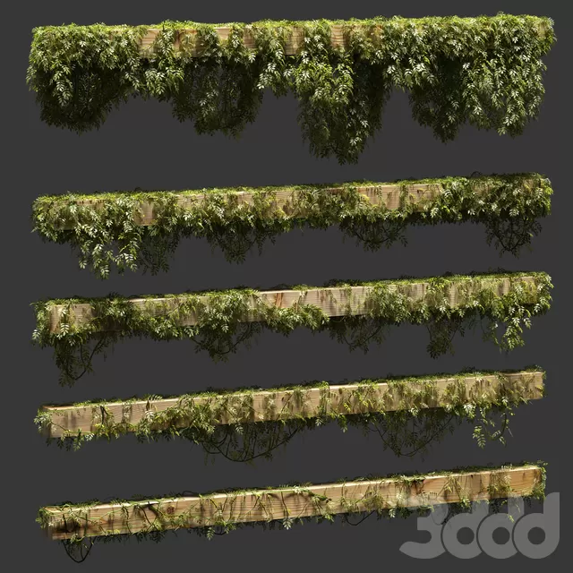 PLANT 3D MODELS – FLOWER 3D MODELS – 225