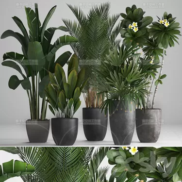 PLANT 3D MODELS – FLOWER 3D MODELS – 236