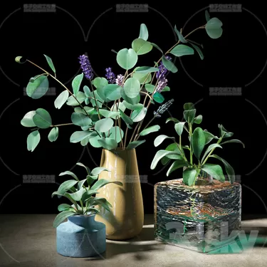 PLANT 3D MODELS – FLOWER 3D MODELS – 251