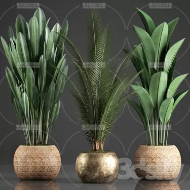 PLANT 3D MODELS – FLOWER 3D MODELS – 271