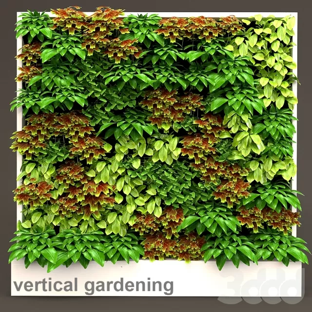 PLANT 3D MODELS – FLOWER 3D MODELS – 309 PLANT 3D MODELS – FLOWER 3D MODELS – 309