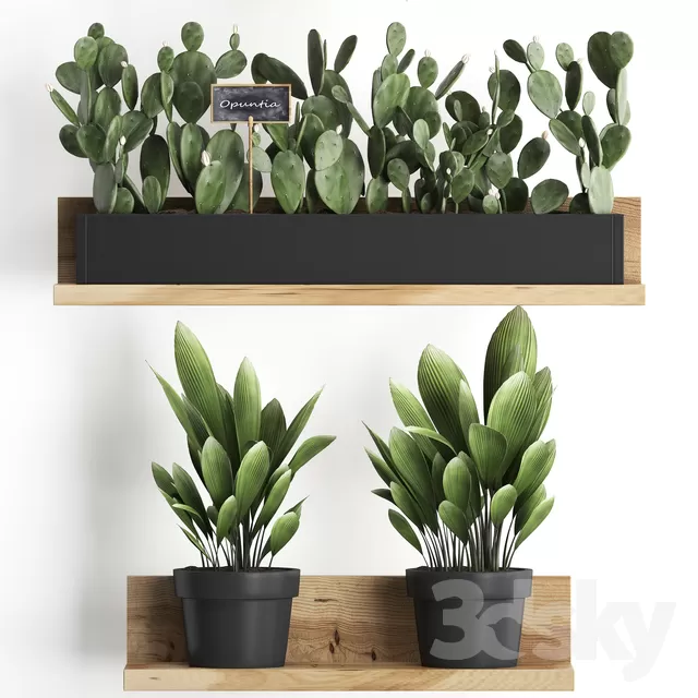 PLANT 3D MODELS – FLOWER 3D MODELS – 316 PLANT 3D MODELS – FLOWER 3D MODELS – 316