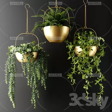 PLANT 3D MODELS – FLOWER 3D MODELS – 320 PLANT 3D MODELS – FLOWER 3D MODELS – 320