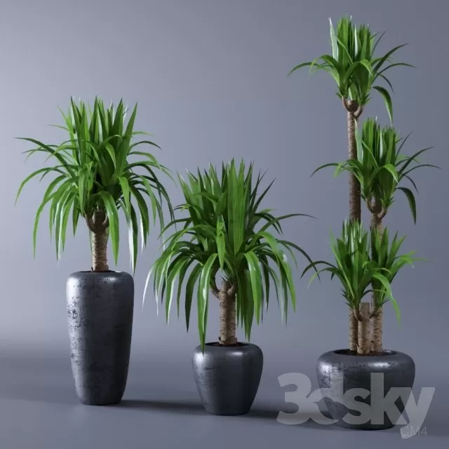 PLANT 3D MODELS – FLOWER 3D MODELS – 033