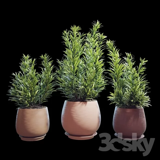 PLANT 3D MODELS – FLOWER 3D MODELS – 324 PLANT 3D MODELS – FLOWER 3D MODELS – 324