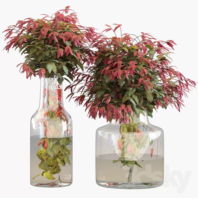 PLANT 3D MODELS – FLOWER 3D MODELS – 327 PLANT 3D MODELS – FLOWER 3D MODELS – 327