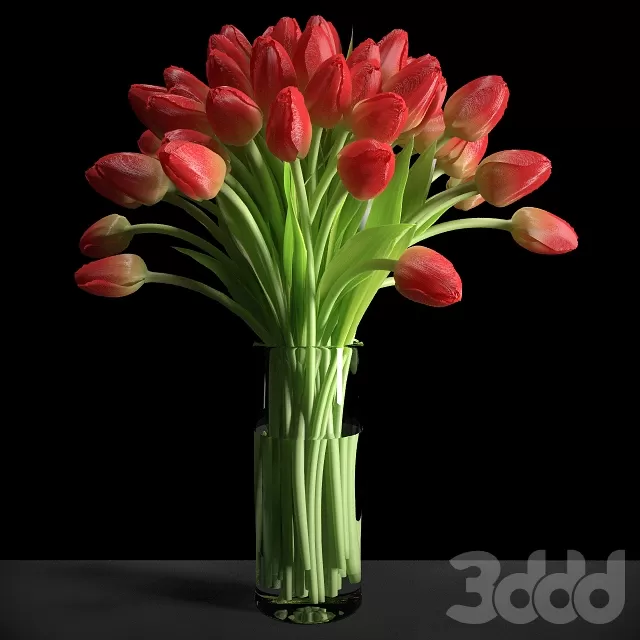 PLANT 3D MODELS – FLOWER 3D MODELS – 330 PLANT 3D MODELS – FLOWER 3D MODELS – 330