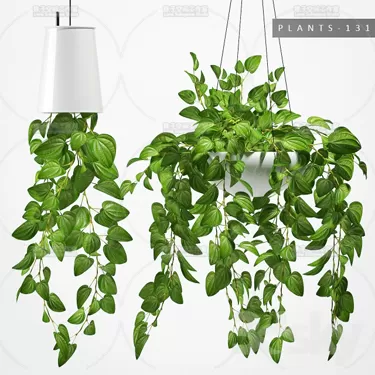 PLANT 3D MODELS – FLOWER 3D MODELS – 034