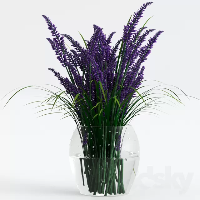 PLANT 3D MODELS – FLOWER 3D MODELS – 333 PLANT 3D MODELS – FLOWER 3D MODELS – 333