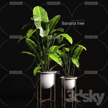 PLANT 3D MODELS – FLOWER 3D MODELS – 340 PLANT 3D MODELS – FLOWER 3D MODELS – 340