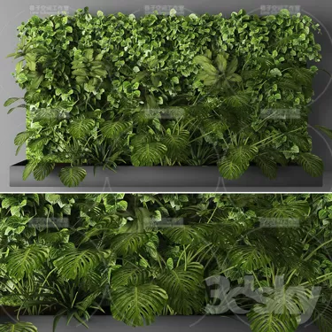 PLANT 3D MODELS – FLOWER 3D MODELS – 344 PLANT 3D MODELS – FLOWER 3D MODELS – 344