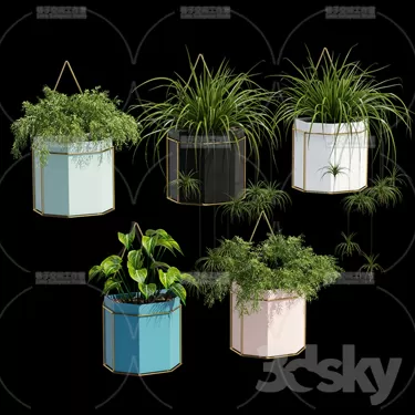 PLANT 3D MODELS – FLOWER 3D MODELS – 354 PLANT 3D MODELS – FLOWER 3D MODELS – 354