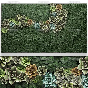 PLANT 3D MODELS – FLOWER 3D MODELS – 355 PLANT 3D MODELS – FLOWER 3D MODELS – 355