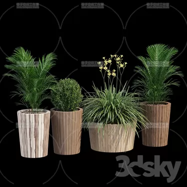 PLANT 3D MODELS – FLOWER 3D MODELS – 358 PLANT 3D MODELS – FLOWER 3D MODELS – 358