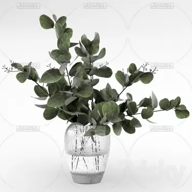 PLANT 3D MODELS – FLOWER 3D MODELS – 360