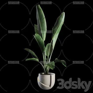 PLANT 3D MODELS – FLOWER 3D MODELS – 373 PLANT 3D MODELS – FLOWER 3D MODELS – 373
