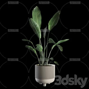 PLANT 3D MODELS – FLOWER 3D MODELS – 374