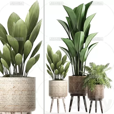 PLANT 3D MODELS – FLOWER 3D MODELS – 375 PLANT 3D MODELS – FLOWER 3D MODELS – 375