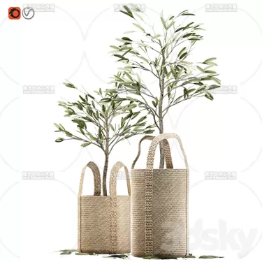 PLANT 3D MODELS – FLOWER 3D MODELS – 376 PLANT 3D MODELS – FLOWER 3D MODELS – 376