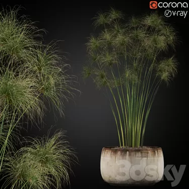 PLANT 3D MODELS – FLOWER 3D MODELS – 381 PLANT 3D MODELS – FLOWER 3D MODELS – 381