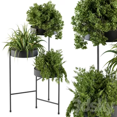 PLANT 3D MODELS – FLOWER 3D MODELS – 387