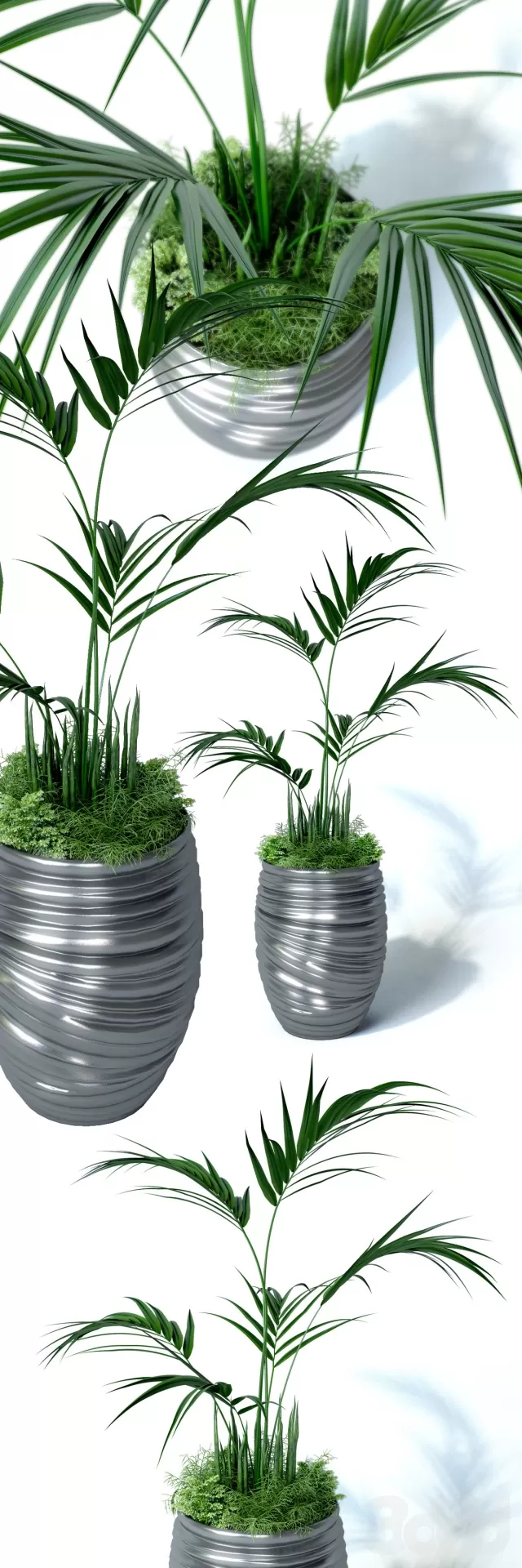 PLANT 3D MODELS – FLOWER 3D MODELS – 428 PLANT 3D MODELS – FLOWER 3D MODELS – 428