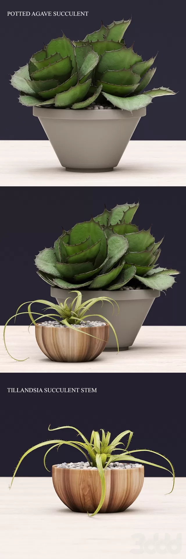 PLANT 3D MODELS – FLOWER 3D MODELS – 442