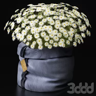 PLANT 3D MODELS – FLOWER 3D MODELS – 458