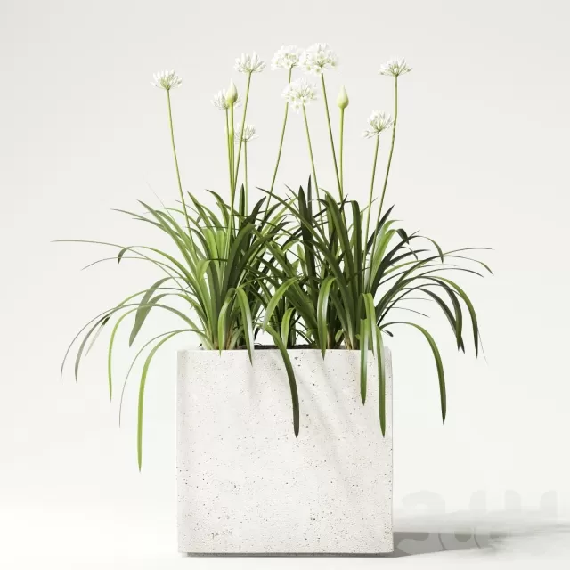 PLANT 3D MODELS – FLOWER 3D MODELS – 459