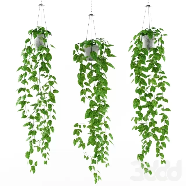 PLANT 3D MODELS – FLOWER 3D MODELS – 470